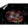 aura-quarz-geode-lila