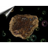 aura-quarz-geode-gold